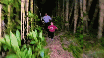 Тенденція туристів "красти цукрову тростину", яку переслідують власники садів у Китаї