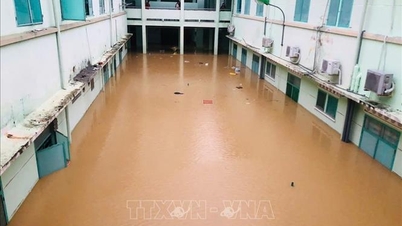 โทรเลขของคณะกรรมการอำนวยการป้องกันภัยพลเรือนแห่งชาติ ว่าด้วยการรับมือกับอุทกภัยในภาคกลาง