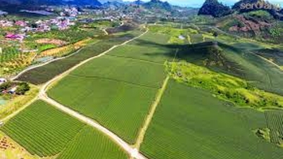 Het bevorderen en beschermen van de waarde van zeldzame aardmetalen