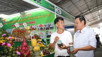 स्थानीय उत्पादों के लिए सामूहिक ट्रेडमार्क और भौगोलिक संकेत पर बाधाओं को हटाना