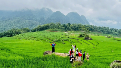 Aktiviti pelancongan memainkan peranan perintis, bertindak sebagai penggerak untuk mempromosikan pelancongan.