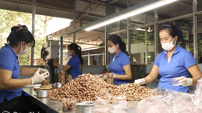 "Saluran hijau" untuk aktiviti import dan eksport gajus