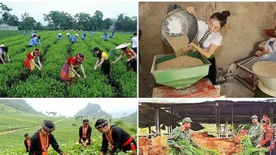 มุ่งเน้นทรัพยากรในพื้นที่ชนกลุ่มน้อยและภูเขา