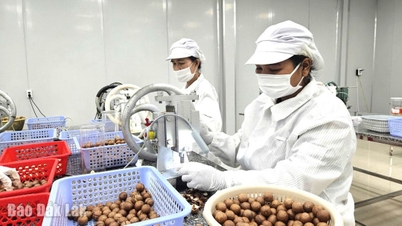 ការនាំយកដំណោះស្រាយលេខ 68 ចូលទៅក្នុងជីវិត