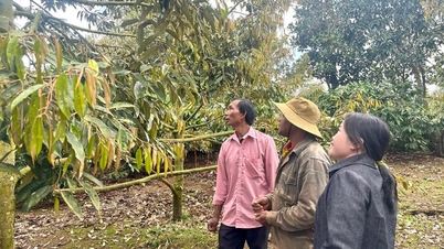 Tam Giang improves the effectiveness of sustainable poverty reduction work