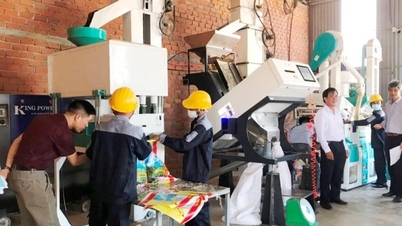 Promosi Industri - Landasan Peningkatan Daya Saing Produksi LokalPercepat investasi, perluas pasar berkat program promosi industri