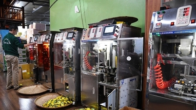 Promosi industri membantu industri teh Thai Nguyen meningkatkan nilai