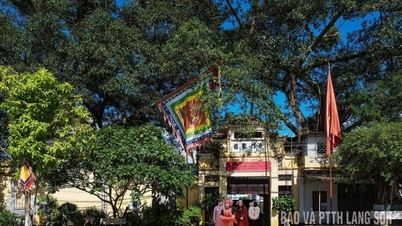 „Patru orașe” din regiunea de frontieră