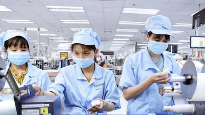 “Titik konvergensi baru” investor Korea