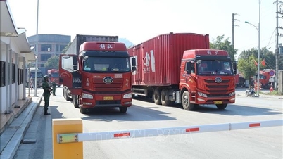 Ongelukken waarbij vrachtwagens betrokken zijn, vormen ruim 40% van het totale aantal verkeersongevallen.