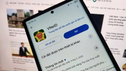 VNeID एप्लिकेशन लॉगिन पासवर्ड भूल जाने पर कैसे निपटें