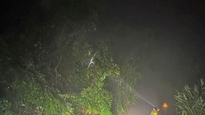 Sạt lở nghiêm trọng ở đèo Gia Bắc, giao thông tê liệt