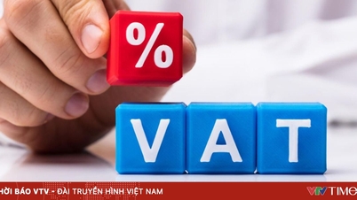 Änderung des Mehrwertsteuergesetzes: Freisetzung von Kapitalflüssen für Agrarexporte