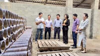 เขตดงซอน: ส่งเสริมแคมเปญ “คนเวียดนามให้ความสำคัญกับการใช้ผลิตภัณฑ์เวียดนาม”