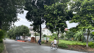 Daftar harga tanah rancangan Kota Ho Chi Minh 2026: Masyarakat khawatir tidak mampu membayar biaya penggunaan tanah
