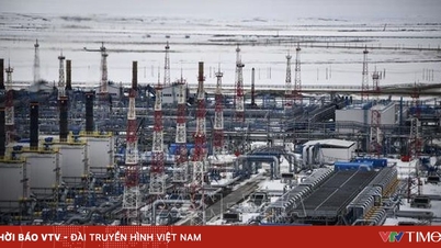 EU nhất trí ngừng nhập khẩu khí đốt của Nga