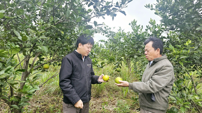 ផ្លាស់ប្តូរការយល់ដឹង ជួយប្រជាជនឱ្យរួចផុតពីភាពក្រីក្រ