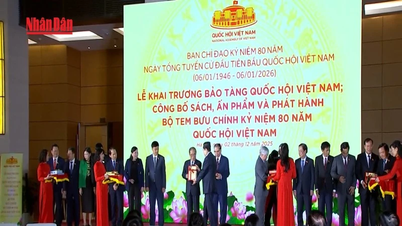 [Video] 800m2 museum preserves the "memory bank" of the Vietnamese National Assembly