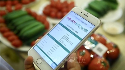 La trazabilidad 'atascada' en la base de datos