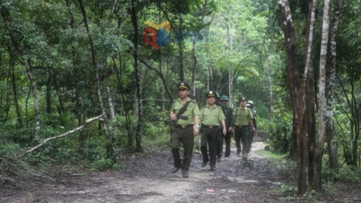 Transforming the structure of forestry crops