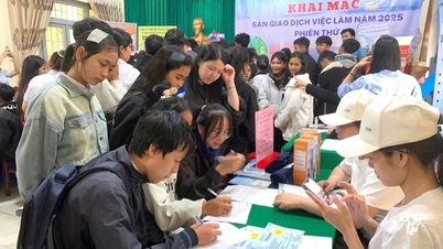 Quang Ngai sends more than 1,000 workers to work abroad