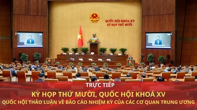 Rapport: Nationale Assemblee bespreekt het termijnrapport van de centrale agentschappen