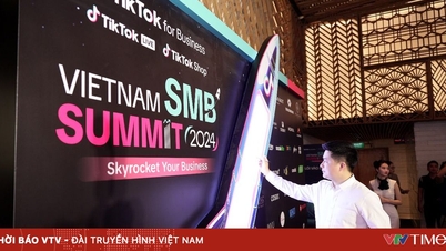 Zeno Digital: A virálistól a valódi értékig - A vietnami reklámipar átalakulása