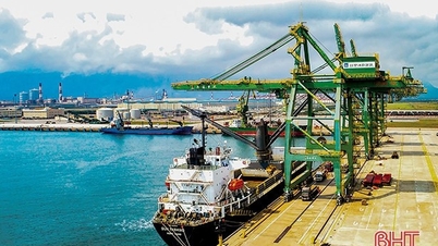 विदेशियों को इलेक्ट्रॉनिक वीज़ा का उपयोग करने की अनुमति देने के लिए सोन डुओंग पोर्ट बॉर्डर गेट जोड़ा गया