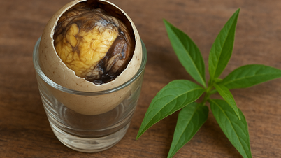Hallo Doktor: Trägt der Verzehr von Balut zur Ernährung des Körpers bei?