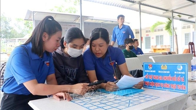 پیشگامان جوان جنبش «سواد دیجیتال برای همه» را گسترش می‌دهند