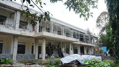 โฉมใหม่จากผลงานปี 1719