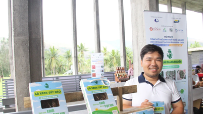 مقامی زرعی مصنوعات سے مالا مال ہونے کی خواہش