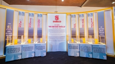 ស្វែងរកមុខមាត់ល្អបំផុតទាំង 15 នៃពានរង្វាន់ 'កិត្តិយសអ្នកកាន់ភ្លើង'