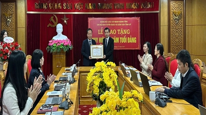 La cellule du Parti de la Commission de propagande et de mobilisation des masses du Comité provincial du Parti a organisé une cérémonie pour remettre l'insigne d'adhésion au Parti pour 30 ans de service.