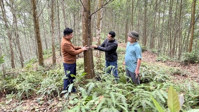 투명하고 효율적인 탄소 시장 구축
