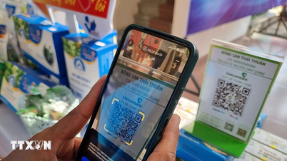 Naadloze QR-betalingstransacties, versnelling van de digitale economie
