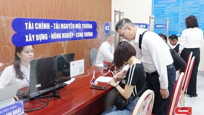 زمین کا ڈیٹا صاف کریں، ایک جدید مینجمنٹ پلیٹ فارم بنائیں