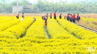 Zdokonalování plánování a propojení v zemědělství