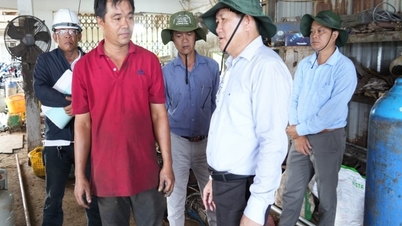 Nestleder i den provinsielle folkekomiteen, Le Van Su, inspiserte landbruks- og bygdeutviklingsprosjektet.