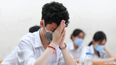 "공사가 너무 스트레스가 심해 학생들이 10학년에 진입할 때 엄청난 압박감을 느낀다"