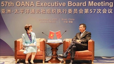 ভিএনএ এবং সিনহুয়া নিউজ এজেন্সির মধ্যে ঐতিহ্যবাহী সহযোগিতামূলক সম্পর্ক আরও গভীর করা