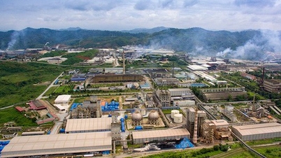 Sains dan Teknologi: Tenaga penggerak kejayaan untuk transformasi hijau di Lao Cai