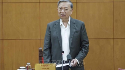 Chuyển tư duy chăm sóc y tế cho người khuyết tật sang cách tiếp cận xã hội hòa nhập