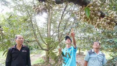 กลุ่มพันธมิตรสตาร์ทอัพของ Phu Huong Hoi Quan