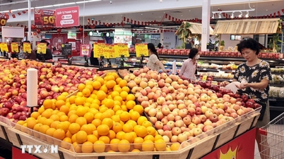 OCDE: A economia do Vietnã continua a manter o ritmo de recuperação em 2026-2027.