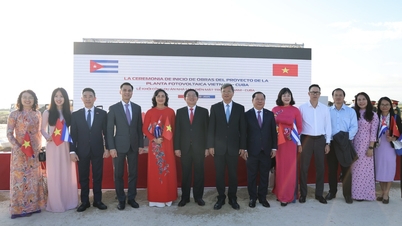 Activitățile viceministrului Phan Thi Thang în cadrul vizitei viceprim-ministrului Ho Quoc Dung în Cuba, cu ocazia celebrării a 65 de ani de la stabilirea relațiilor diplomatice dintre cele două țări