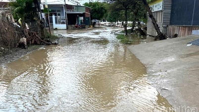 Algumas escolas permitiram que os alunos ficassem em casa para evitar inundações.