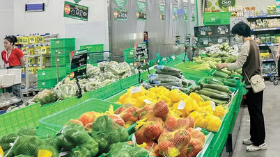 Οι λιανικές πωλήσεις αγαθών και καταναλωτικών υπηρεσιών αυξήθηκαν κατά 17,14%