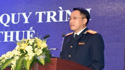 Review and improve tax management procedures and restructure the information technology system.