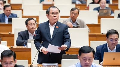 نقترح أن تواصل الحكومة تحسين آلية الحماية لأولئك الذين يجرؤون على التفكير والتصرف من أجل الصالح العام.